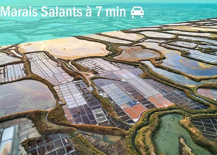 T3 Centre 70 M2 Avec Terrasse * La Baule